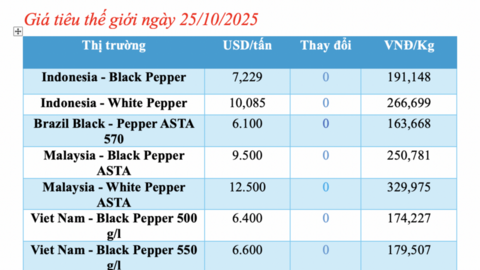 Giá tiêu hôm nay 25/10/2025: Tiêu nội địa lao dốc