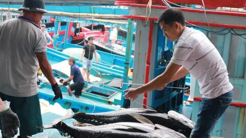 Gỡ 'thẻ vàng' IUU: Chìa khóa và cơ hội nâng tầm thủy sản Việt