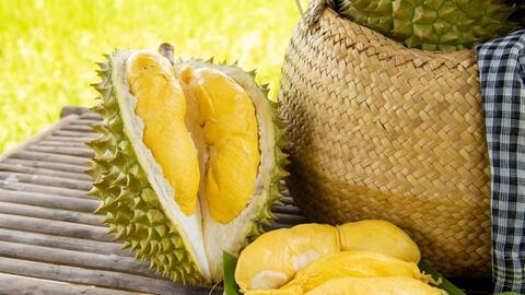 Giá sầu riêng hôm nay 7/11: Sầu Thái giảm còn 80.000 đồng/kg