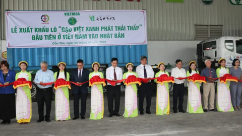 Hơn 70.000 tấn “Gạo Việt xanh, phát thải thấp” được cấp nhãn hiệu: Bước tiến mới của gạo Việt 