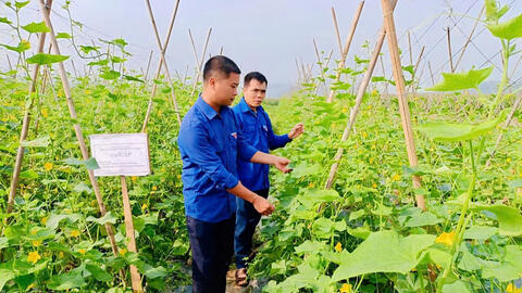 Dùng lực lượng tri thức trẻ thúc đẩy phát triển kinh tế