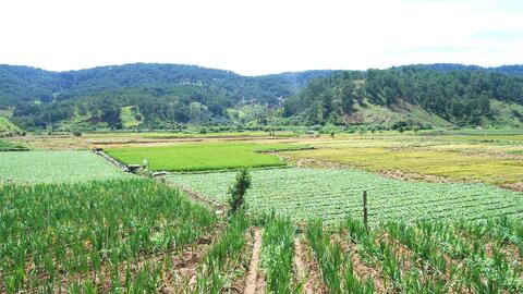 Bảo toàn và phát triển nguồn vốn Quỹ Phát triển đất