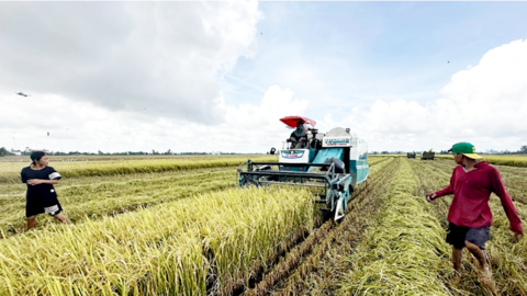 Cần Thơ nỗ lực “chuyển đổi kép” trong nông nghiệp 