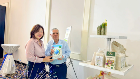 Thúc đẩy mở rộng diện tích sản xuất lúa chất lượng cao và phát thải thấp 