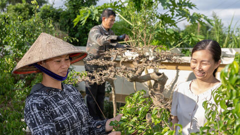 Mô hình 'Dân vận khéo' trong giảm nghèo bền vững
