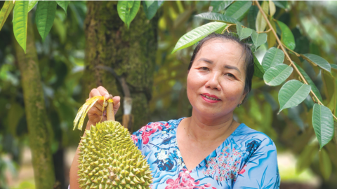 Phê duyệt chương trình Phát triển tài sản trí tuệ TP Cần Thơ 