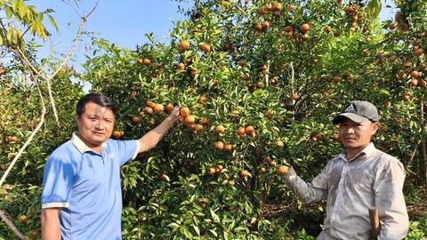 Lan tỏa những đổi thay từ hỗ trợ giảm nghèo ở Tân Pheo