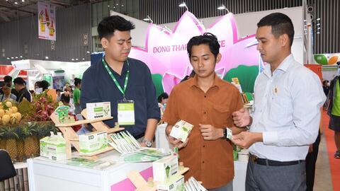 Đồng Tháp: Sản xuất công nghiệp, xuất khẩu tăng trưởng hai con số