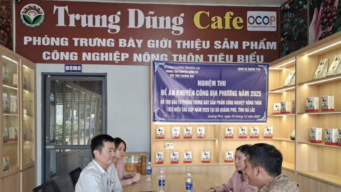 Đắk Lắk: Đẩy mạnh khuyến công hỗ trợ kinh doanh