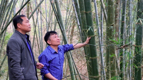 Người có uy tín: Cầu nối đưa chính sách vào đời sống vùng cao Nghệ An