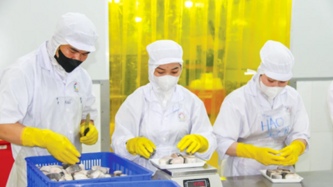 Đảm bảo chất lượng, an toàn thực phẩm sản phẩm nông, lâm, thủy sản