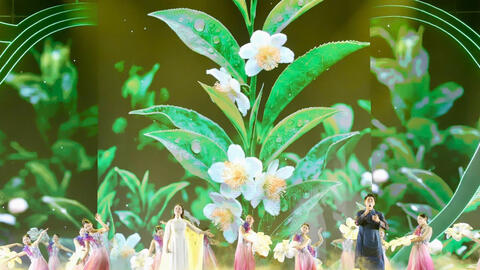 Thái Nguyên lan tỏa hương sắc danh trà