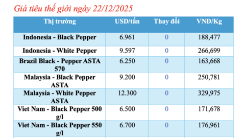 Giá tiêu hôm nay 22/12/2025: Cao nhất 149.000 đồng/kg