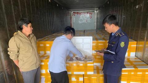 Thanh Hóa: Phát hiện 10 tấn cá khoai dùng chất cấm formol để bảo quản