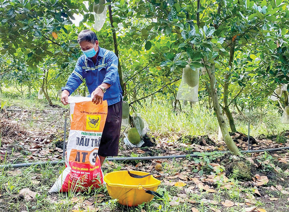 Giúp nhà vườn phòng tránh thiệt hại do ngập úng 