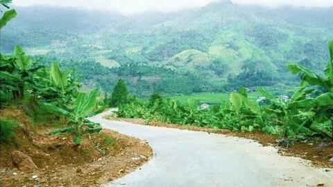 Người Bố Y ở Mường Khương chung sức xây dựng nông thôn mới