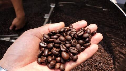 Năm 2025, ngành Nông nghiệp và Môi trường đạt và vượt 9/9 chỉ tiêu