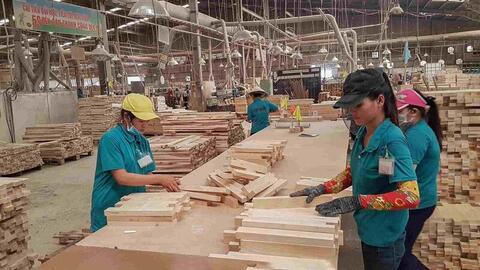 Ngành gỗ đón tín hiệu tích cực ngay những ngày đầu năm mới