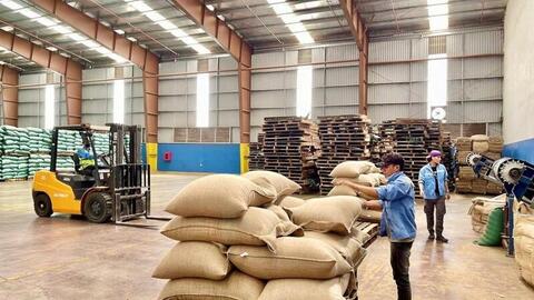 Gia Lai: Xuất khẩu bứt phá, nông sản tiếp tục giữ vai trò 'trụ đỡ'