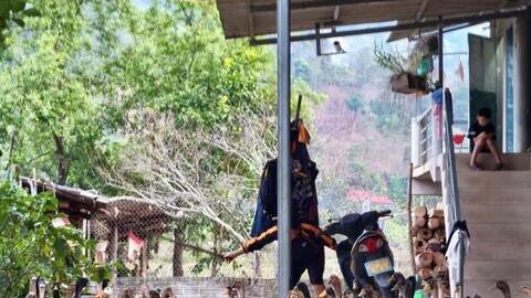 Mường Lạn đánh thức lợi thế giống vịt cổ xanh, hướng tới sản phẩm OCOP