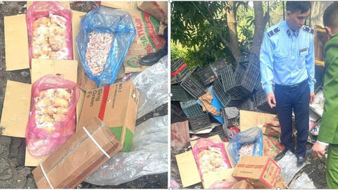 Sơn La: Phát hiện gần 400 kg chân gà, thịt đông lạnh không rõ nguồn gốc