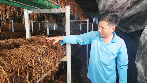 Kinh tế tuần hoàn hướng đến phát triển nông nghiệp xanh 