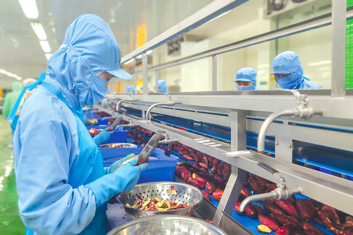 Có 36 mặt hàng đạt kim ngạch xuất khẩu trên 1 tỉ USD trong năm 2025 