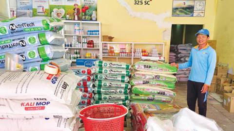Giá phân bón ở mức cao, nông dân trồng lúa giảm lợi nhuận
