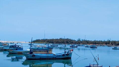 Thủy sản vượt khó hoàn thành các chỉ tiêu