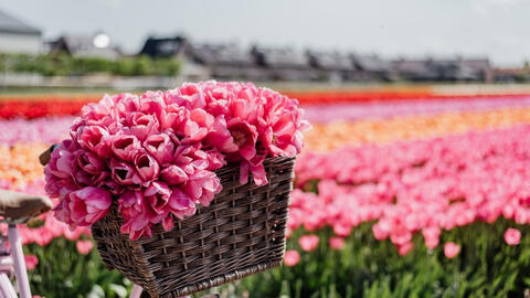 Top 3 cung hoàng đạo đường tài lộc hanh thông, tình duyên rực rỡ ngày 17/1