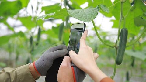 Thế hệ trẻ và sứ mệnh 'cầu nối' chuyển đổi số trong nông nghiệp