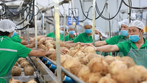 Siết chặt quản lý chất lượng hàng hóa khi xuất khẩu sang Ba Lan