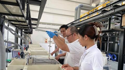 Tận dụng ‘làn sóng lớn’ để doanh nghiệp vươn xa chuỗi giá trị toàn cầu