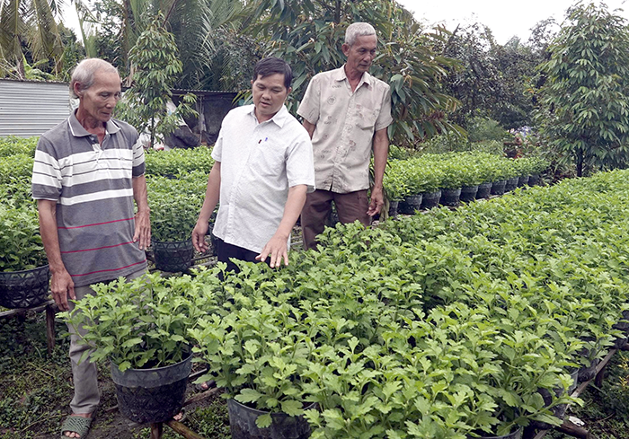 TP Cần Thơ: 156.514 hộ đạt danh hiệu nông dân sản xuất, kinh doanh giỏi 