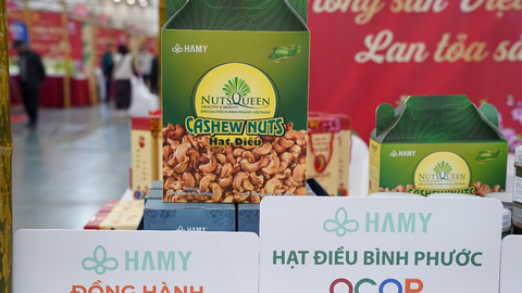 Hạt điều Bình Phước: Lan tỏa thương hiệu Việt tại Hội chợ Mùa Xuân