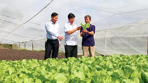 Cái Răng hỗ trợ doanh nghiệp, hộ kinh doanh, hợp tác xã phát triển sản xuất, kinh doanh 