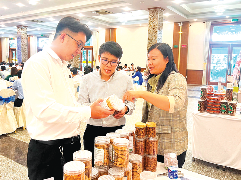 Tăng cường xúc tiến thị trường cho hợp tác xã 