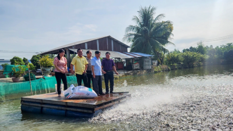 Chú trọng quản lý, bảo vệ và phát triển thủy sản bền vững