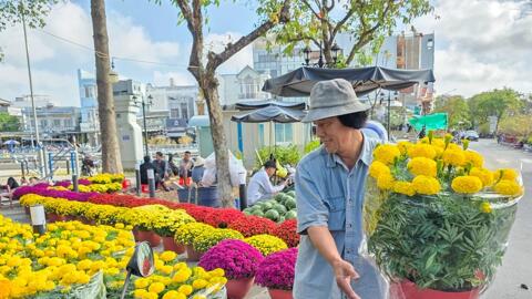 Sức mua hoa kiểng Tết còn yếu, giá không tăng