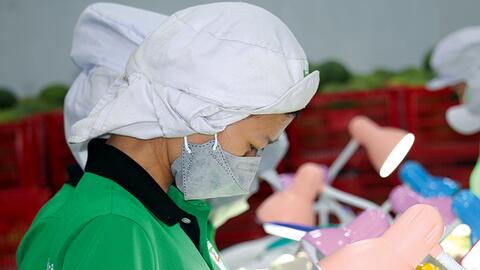 Tháng 1, kim ngạch xuất khẩu hàng hóa cả nước đạt 43,19 tỉ USD 