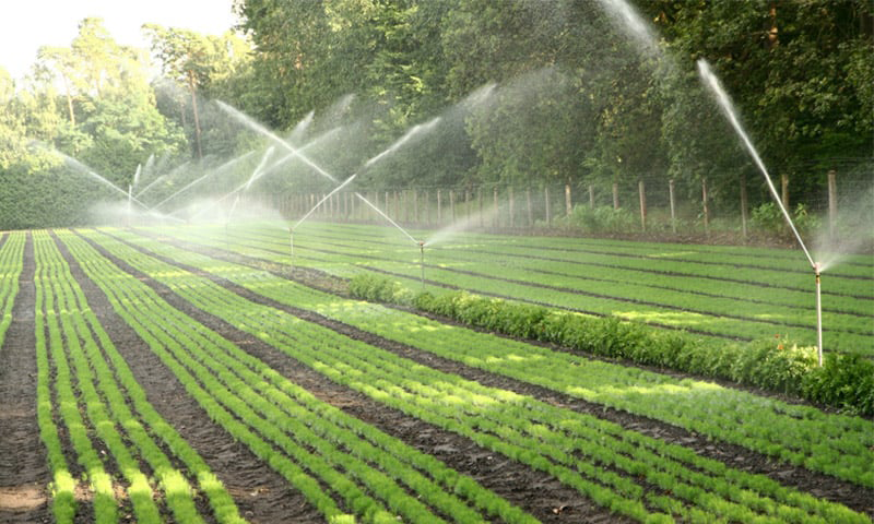 Xâm nhập mặn tiếp tục tăng cao trong những ngày tới 