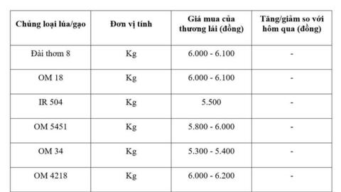 Giá lúa gạo hôm nay ngày 6/3/2026: Gạo xuất khẩu giảm nhẹ