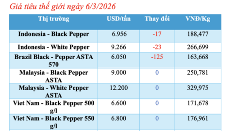 Giá tiêu hôm nay 6/3/2026: Bật tăng đồng loạt