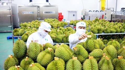 Chuyên gia nói gì về tái cấu trúc chuỗi cung ứng từ xung đột Trung Đông?