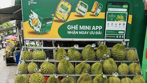 Sầu riêng Ri6 lên ngôi giữa lúc thị trường khan hiếm hàng cao cấp