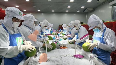 Nỗ lực duy trì tăng trưởng, tạo bứt phá xuất khẩu năm 2026 