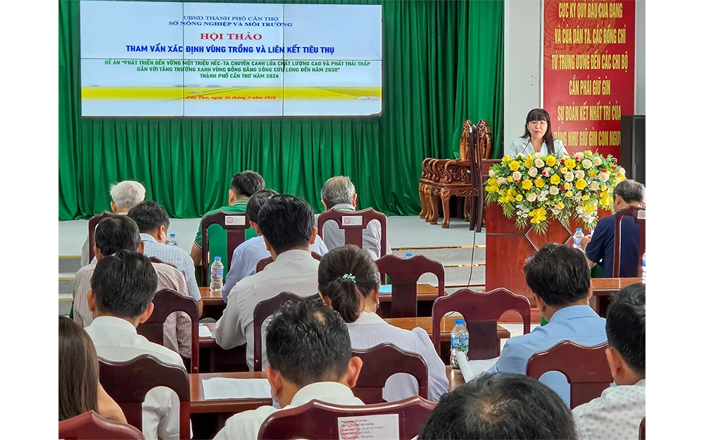 Thúc đẩy phát triển vùng lúa chất lượng cao và phát thải thấp 