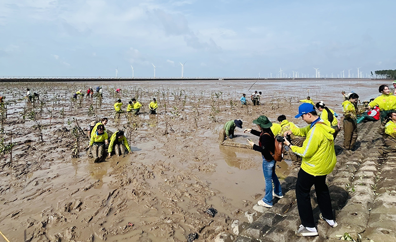 Huy động nguồn tài chính xanh, mở cơ hội gia nhập thị trường carbon quốc tế 