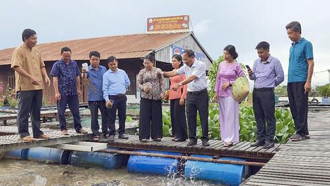 Nhiều hoạt động hỗ trợ nông dân phát triển kinh tế 