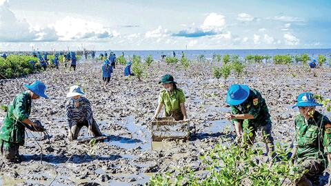 Trồng cây xanh bảo vệ môi trường, thích ứng biến đổi khí hậu 